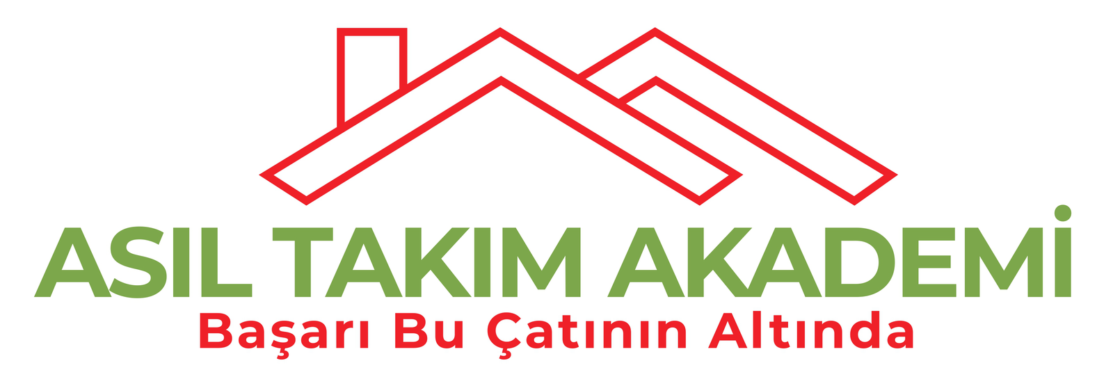 Asıl Takım Akademi Logo